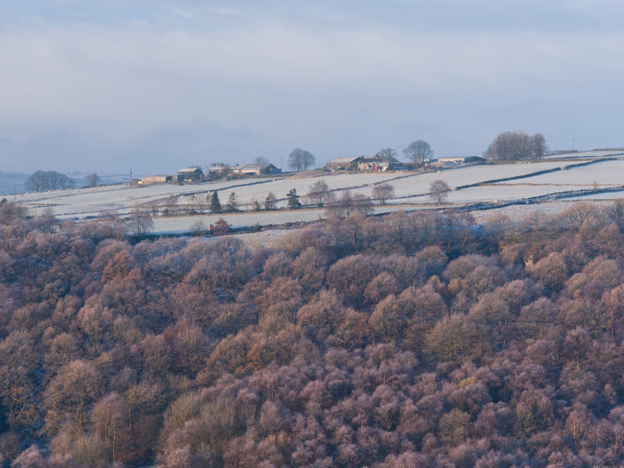 Colden Clough, Hebden Bridge. Autumn meets winter.