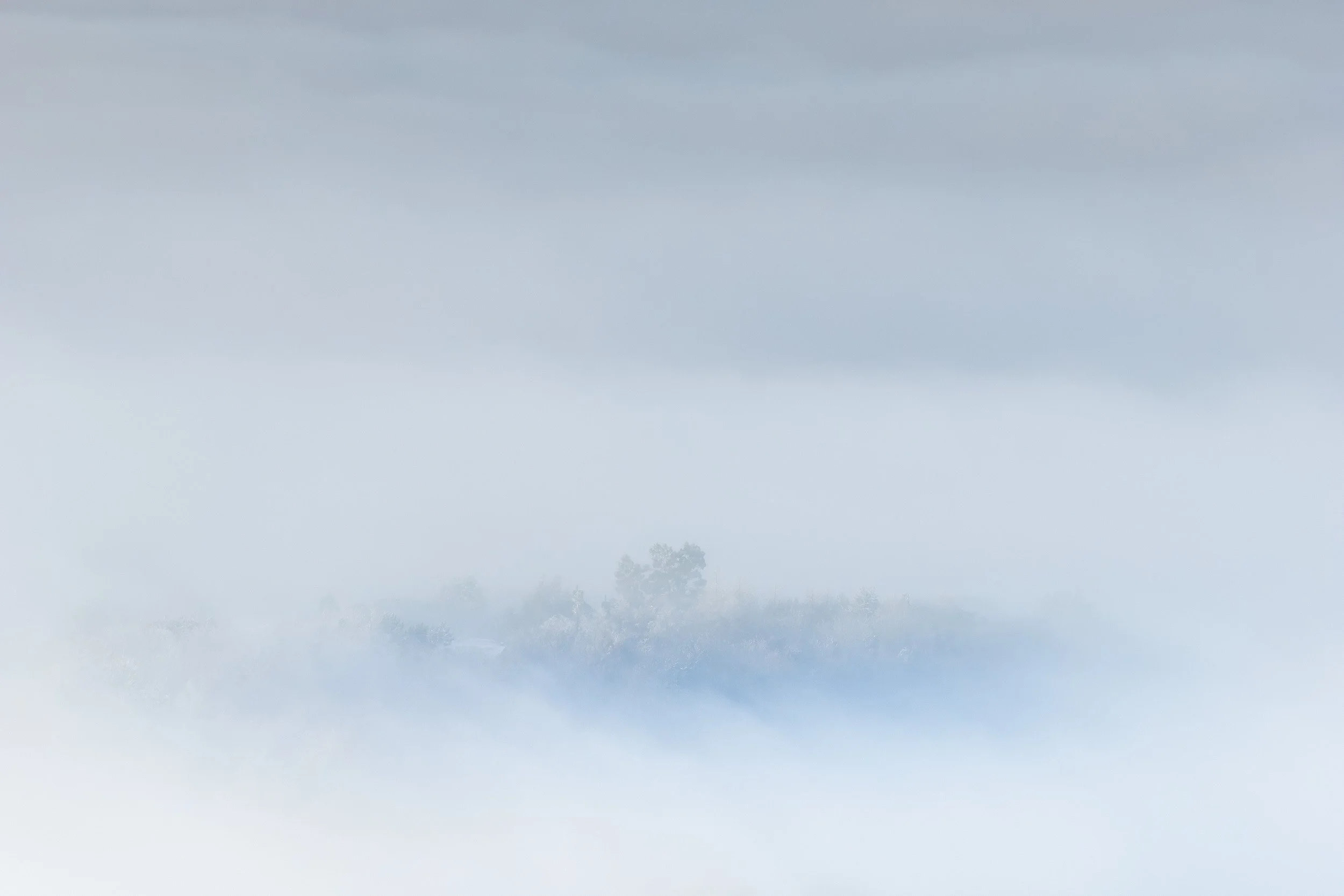 Ultra-minimalist high-key photograph of a solitary treetop in Turn Village barely visible through a thick white sea of morning fog in Rossendale.