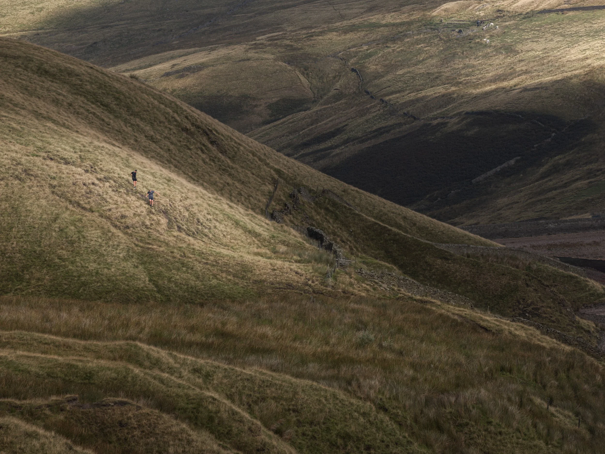 Telephoto action photograph of two fell runners climbing a steep, sunlit moorland slope during the Whittle Pike race on Scout Moor.