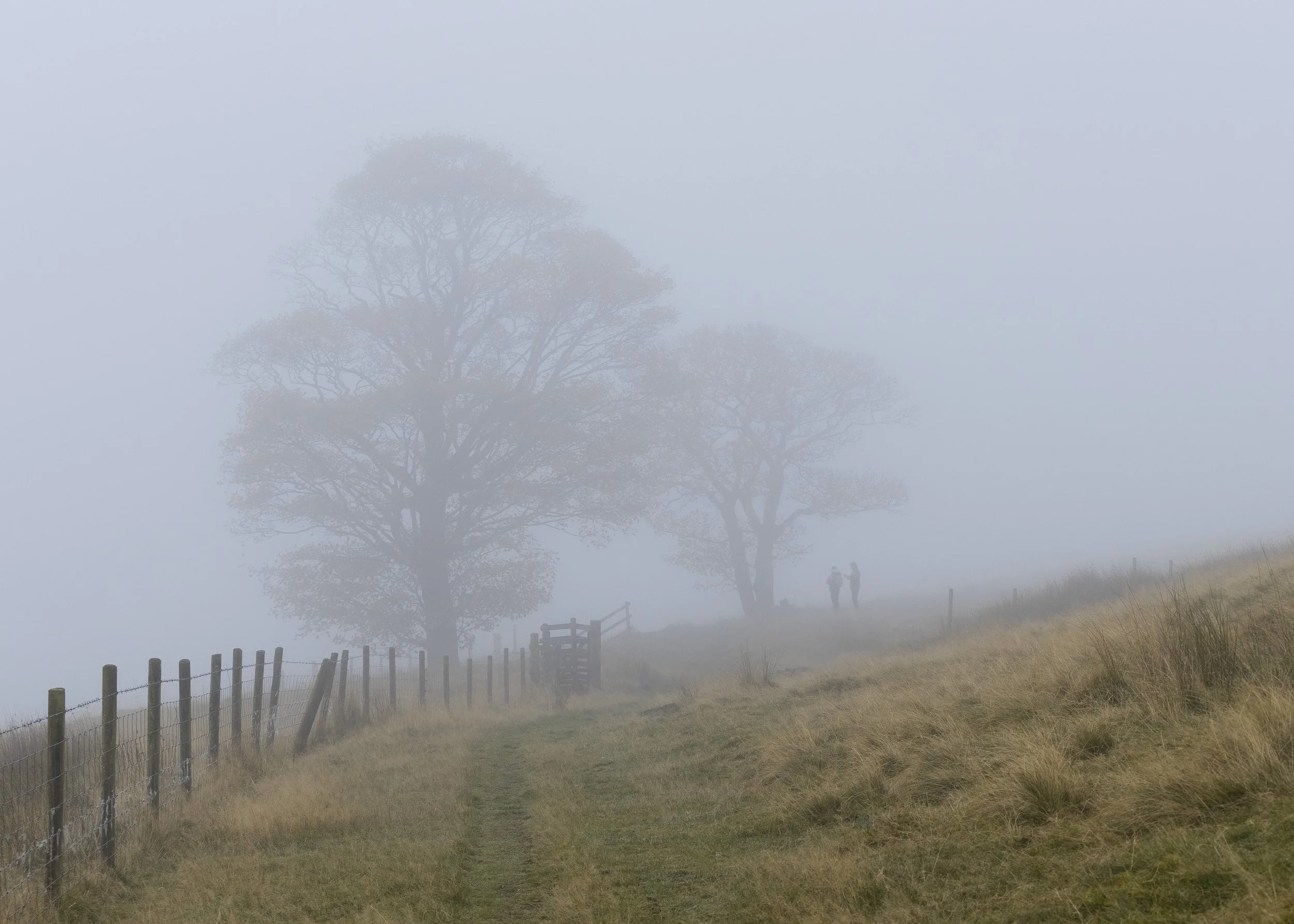 Fence line and wooden gate leading up a grassy slope in Naden Valley into thick winter fog with two distant walkers silhouetted by trees.