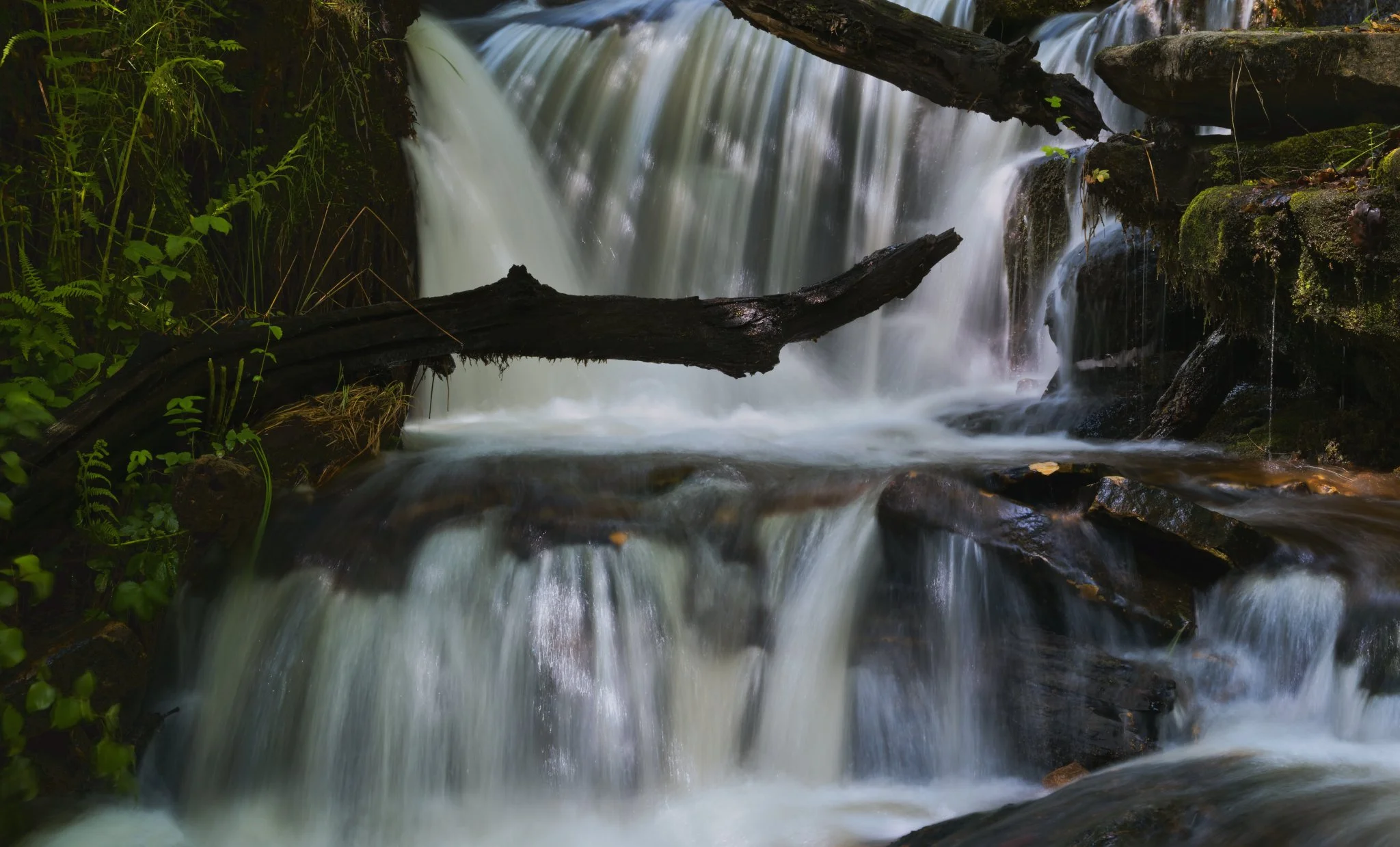 The Whispering Veil: A story of a woodland waterfall