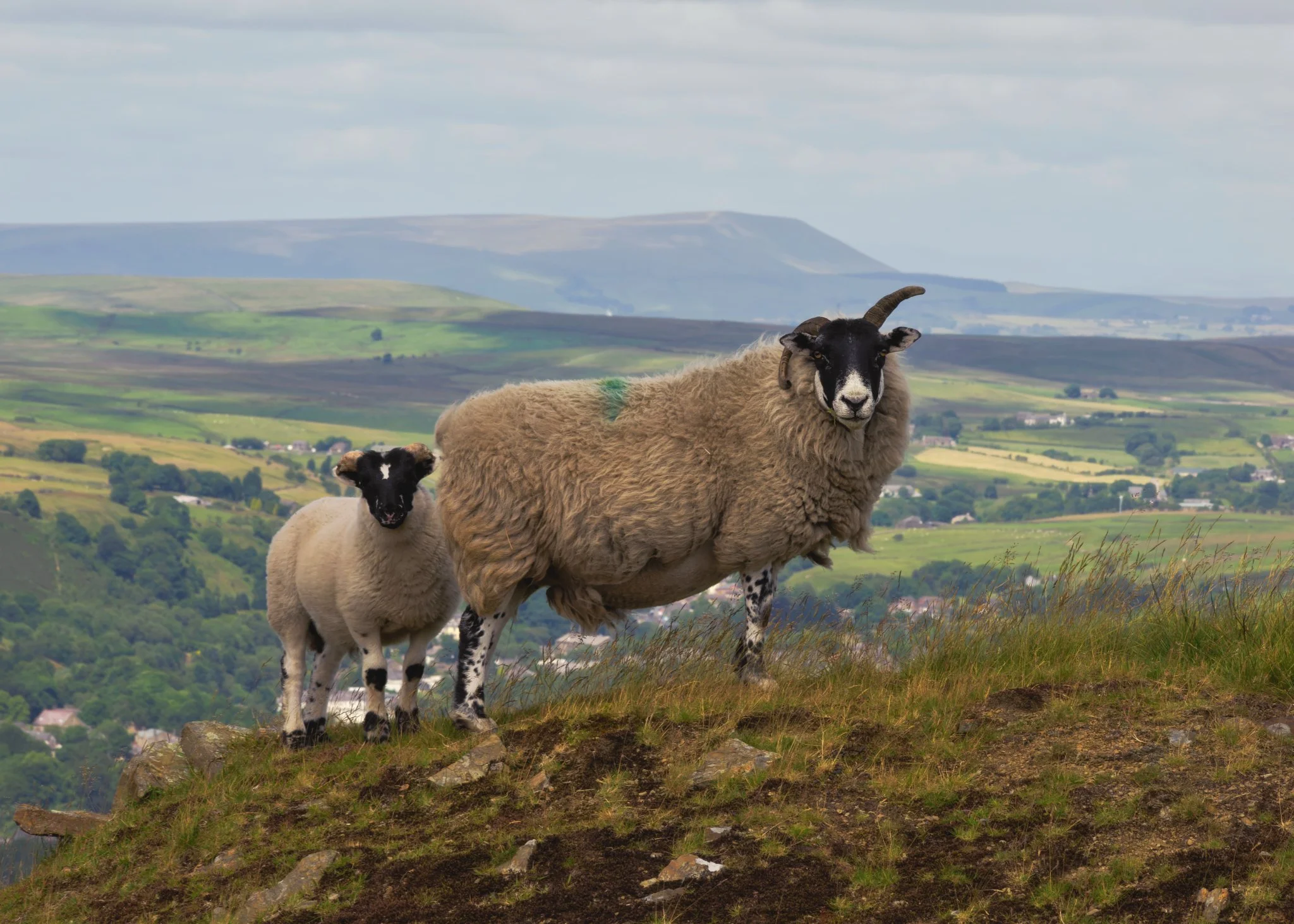 Panoramic fine art landscape photography of Cragg Quarry with Pendle Hill visible in the moody background landscape.