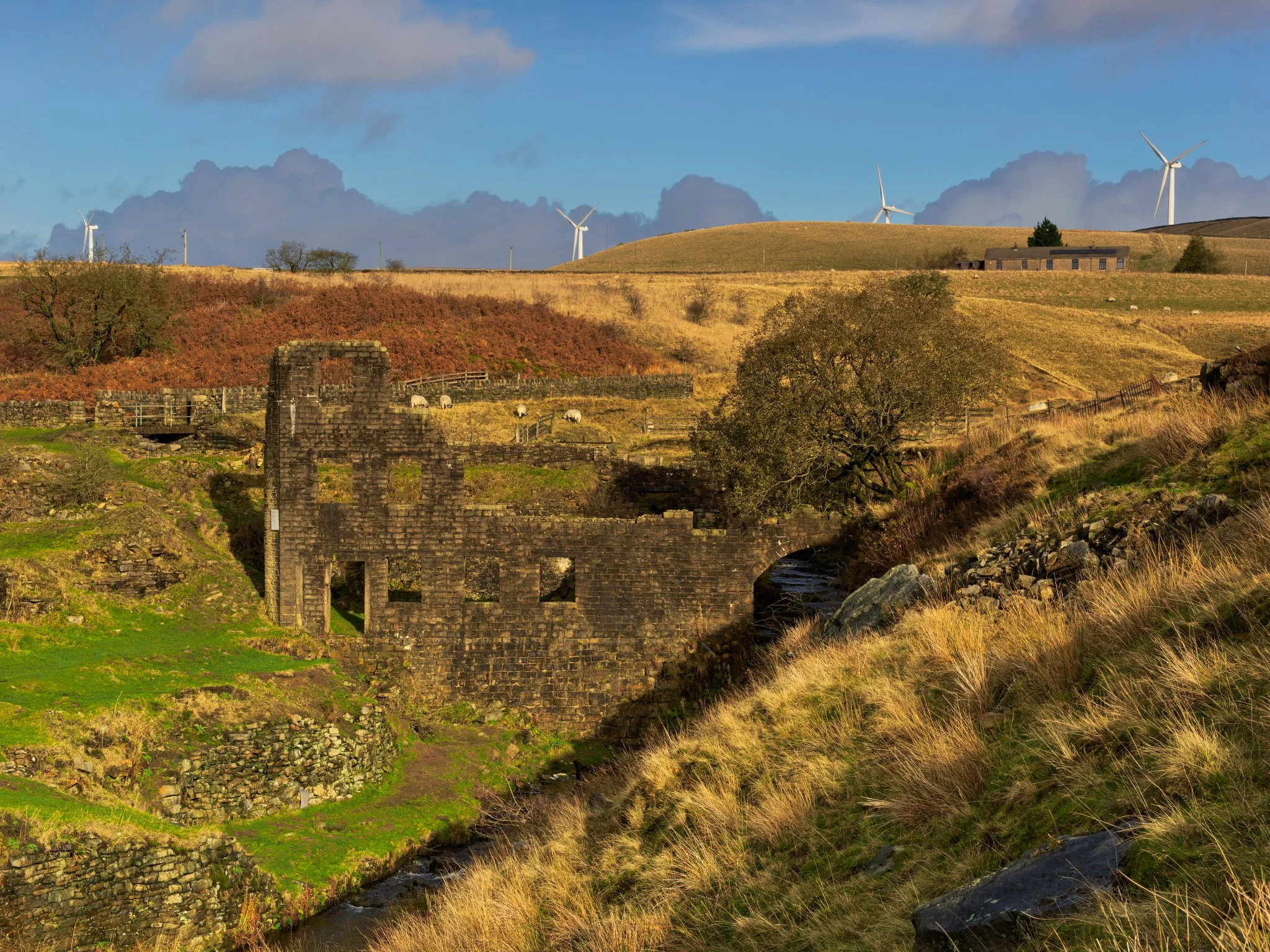 Cheesden Lumb Mill — mill ruins stand near overgrown banks and woodland, haunted by lingering quiet and history.