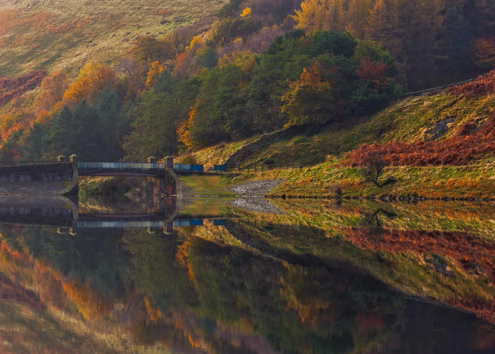 Autumn, Naden Higher Reservoir — warm autumn hues surround a quiet reservoir, the landscape dissolving softly into the distance.