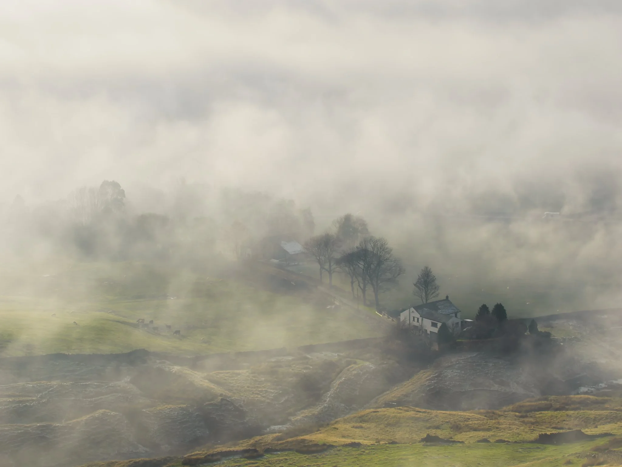 Through a temperature inversion, Newgate Farm, Turn Village emerged, with foreground hedgerows and trees guiding the viewer’s eye across the scene.