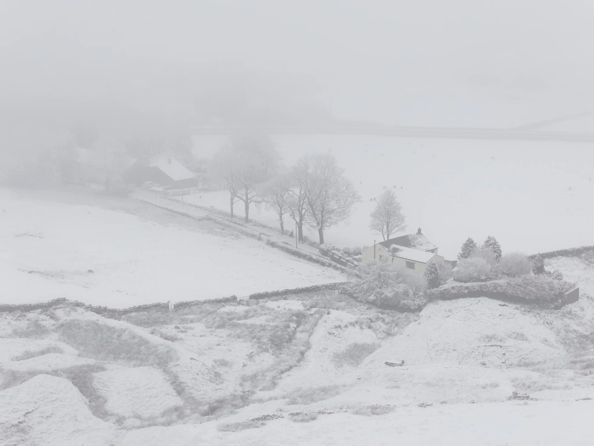 Newgate Farm, Turn, Rossendale — tucked away and surrounded by white fields and fog.