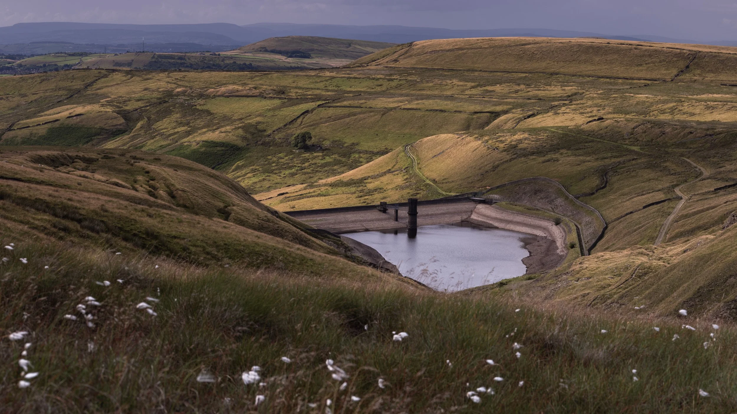 Sunlight illuminating green moorland slopes and cotton grass above Scout Moor High Level Reservoir in Rochdale.