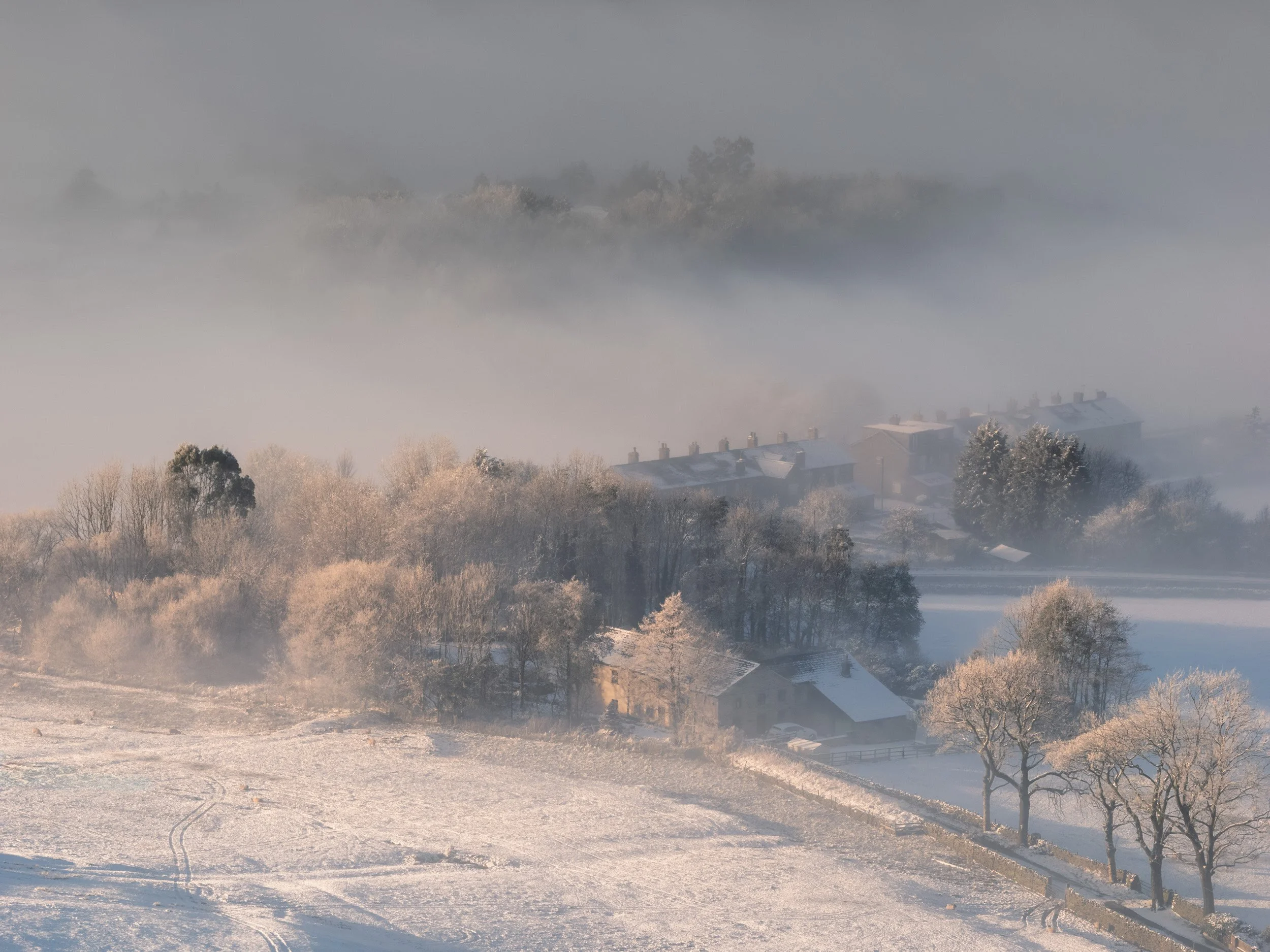 Frosted moorland trees, and rooftops catching soft morning light in the South Pennines hills in Rossendale.