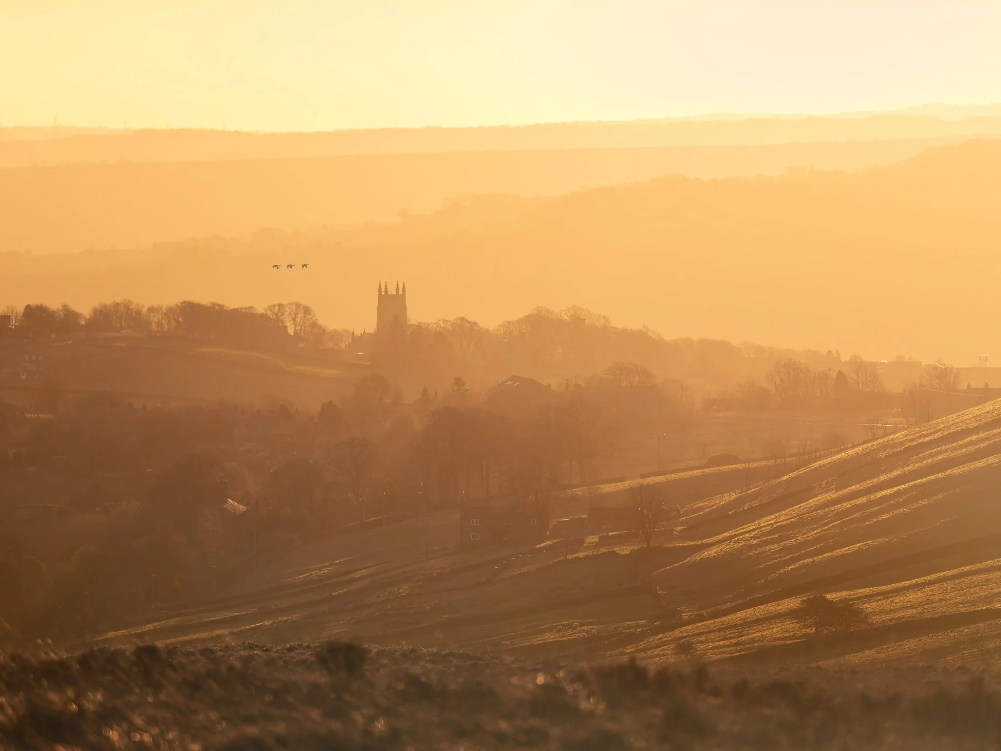 Heptonstall sunrise — a rustic village perched on a hillside, with stone walls and trees winding through mist and moorland, with a bonus of distant geese in flight.