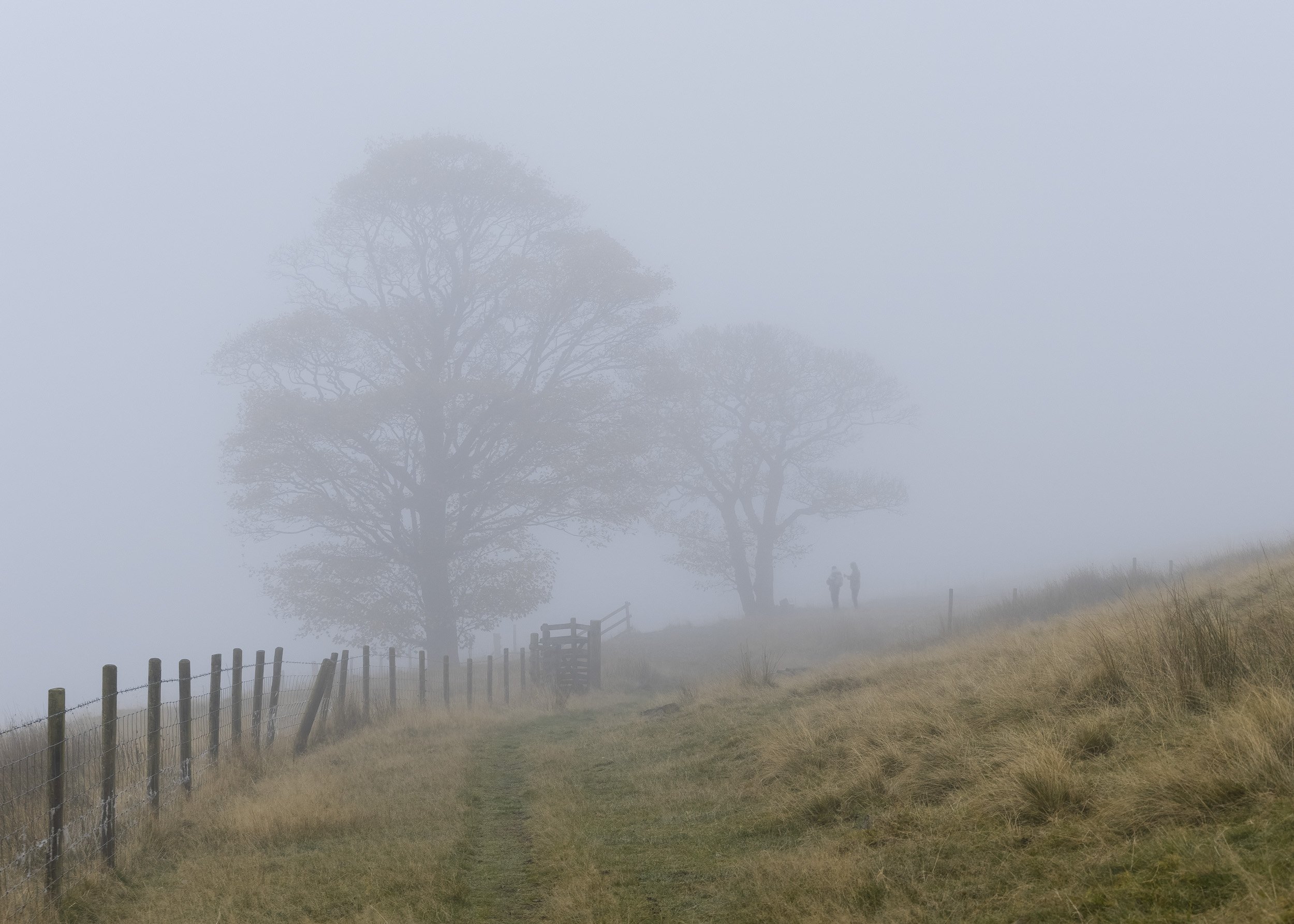 A mist-covered moorland path follows a fence towards two trees and distant walkers fading into thick fog.