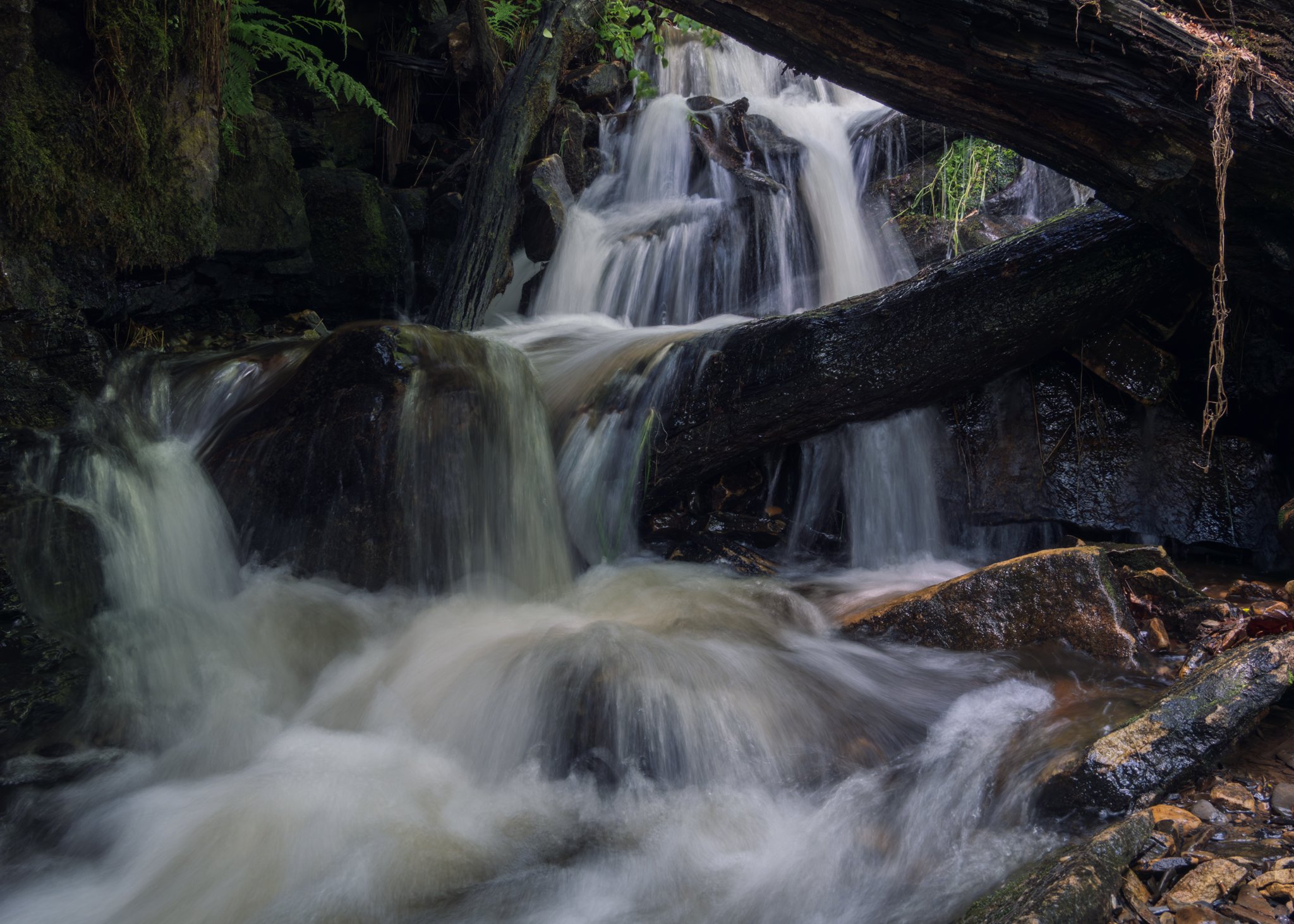 Sleeping Giants: A Woodland Waterfall Nature Poem