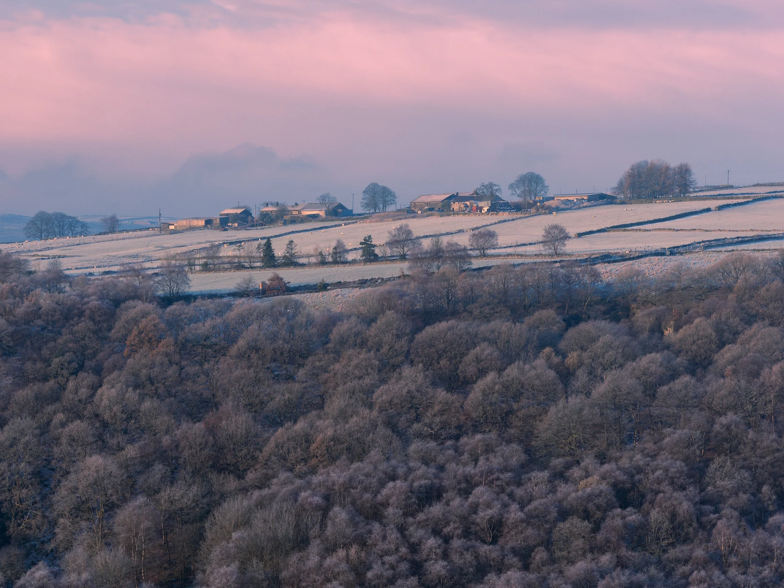 A peaceful winter landscape featuring snow-covered fields, trees, and farm buildings under a pastel pink and purple sky at sunrise or sunset.