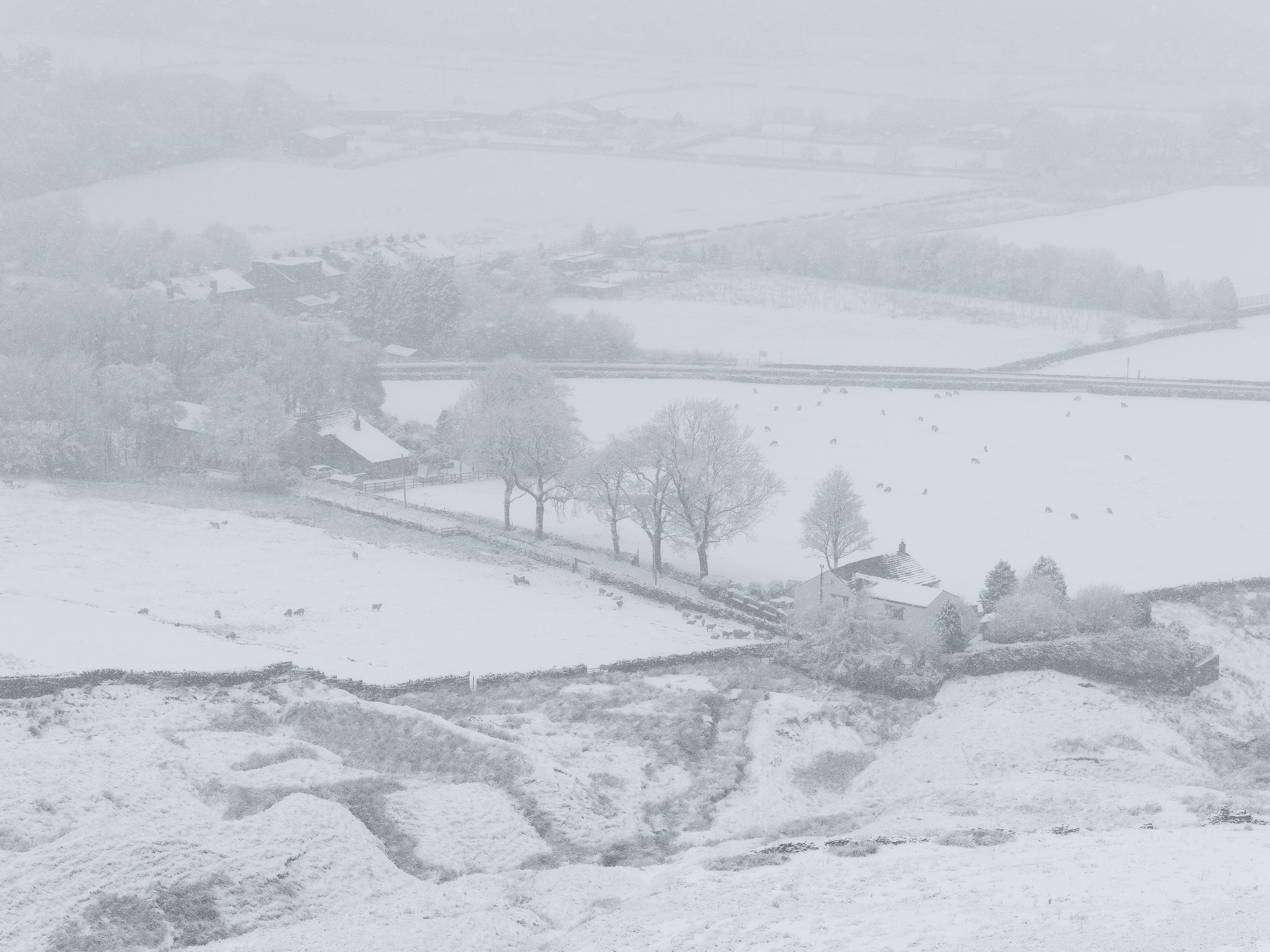 High-angle view of Newgate Farm and drystone walled pastures in Newgate Valley, Rossendale, during a heavy winter snowstorm.
