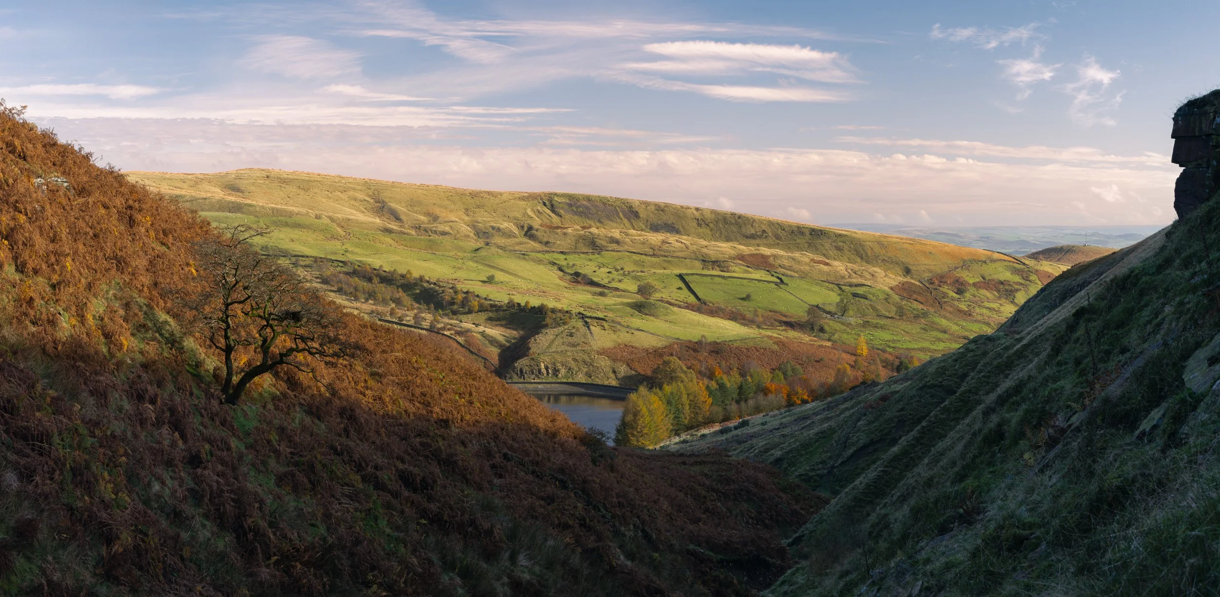 Panoramic view framed by steep valley slopes, looking through Naden Valley towards green drystone-walled pastures and a calm reservoir.