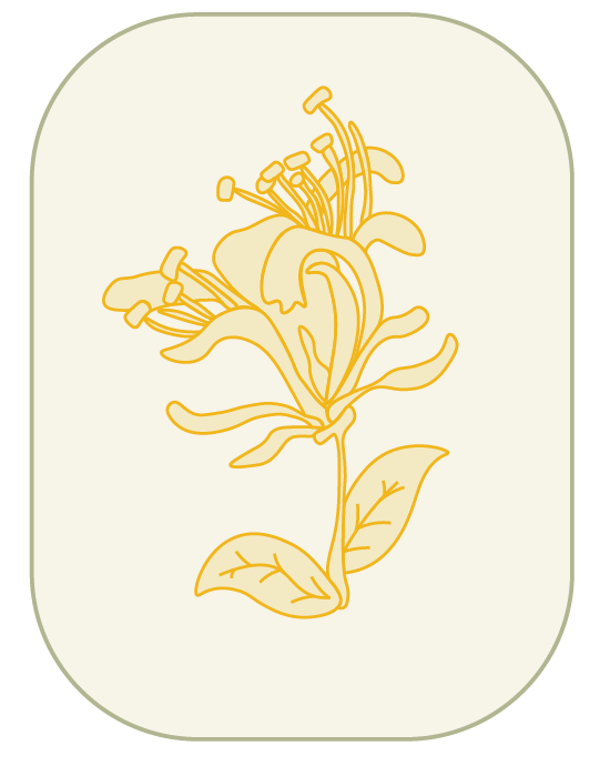 Honeysuckle Logo Colors-05.png