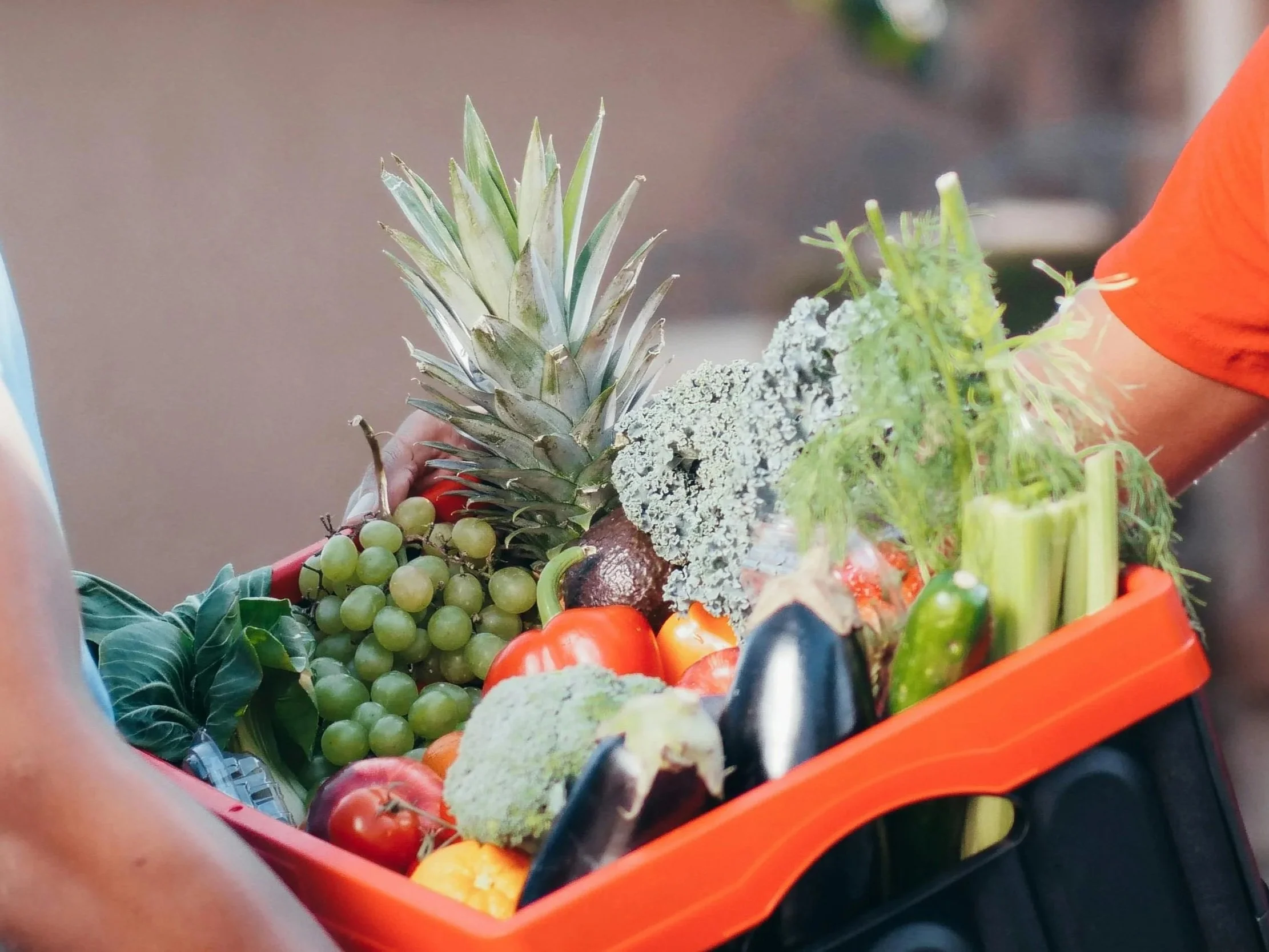 Food As Medicine