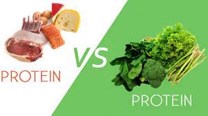 Is It Time to Ditch Animal Protein? It Might Be
