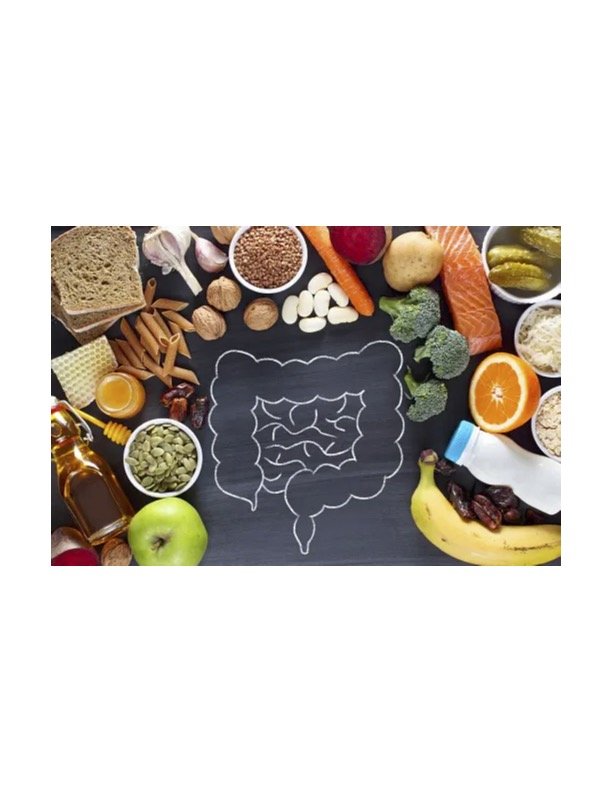 Is Weight Loss Linked to Gut Health