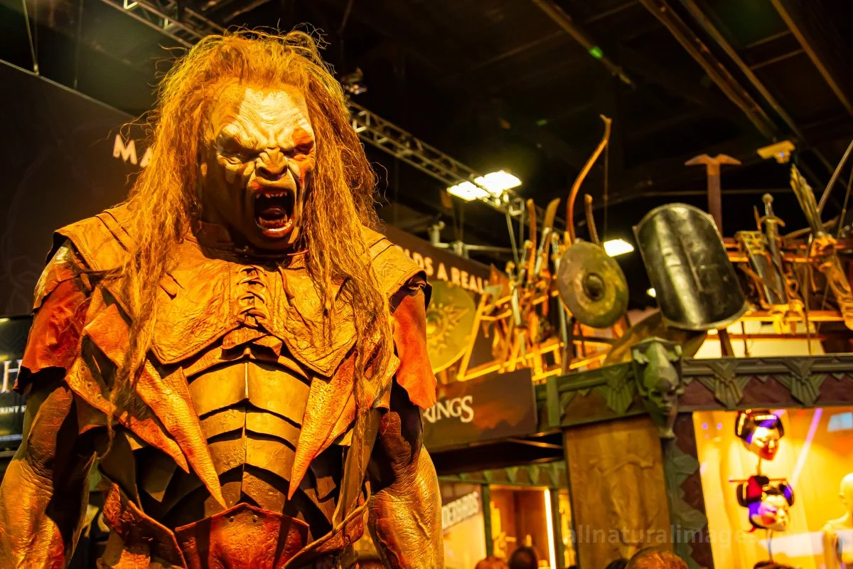 comic-con-2015-#2-© 2025-greg-garthe-allnaturalimages.com.jpg