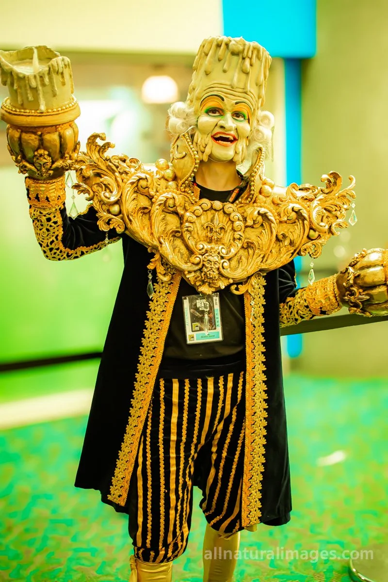 comic-con-2015-#7-© 2025-greg-garthe-allnaturalimages.com.jpg