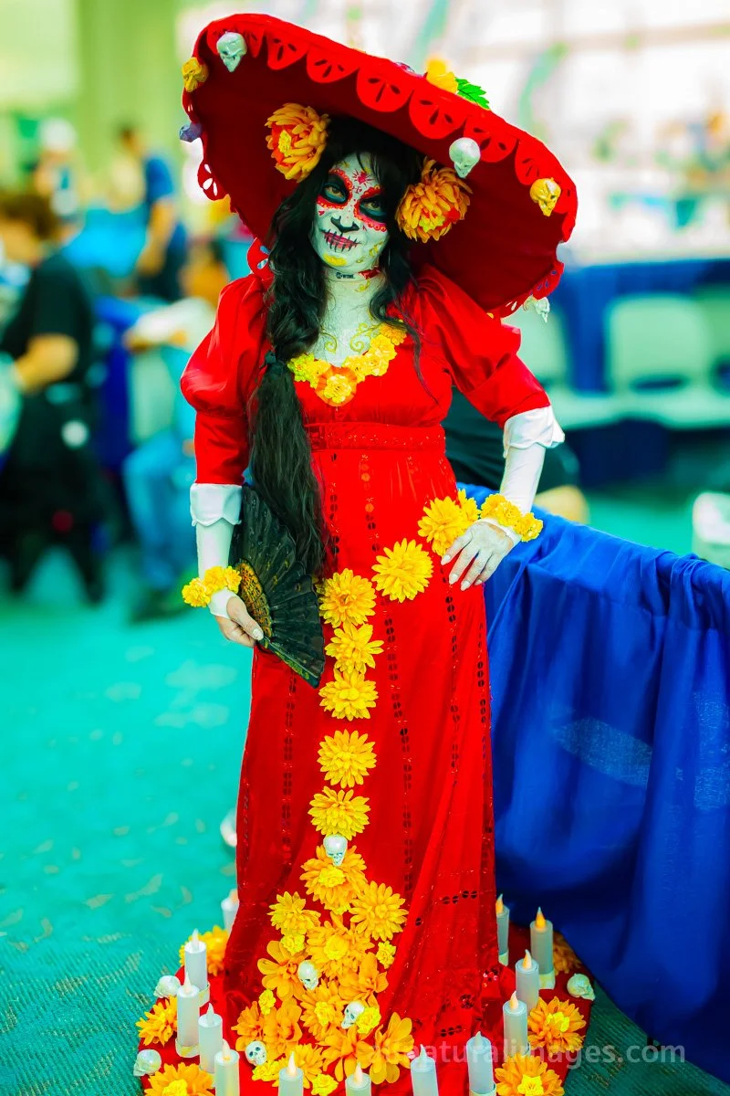 comic-con-2015-#3-© 2025-greg-garthe-allnaturalimages.com.jpg