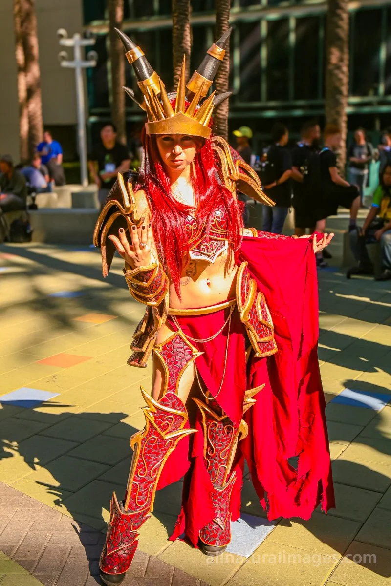 blizzcon-2017-#8-© 2025-greg-garthe-allnaturalimages.com.jpg