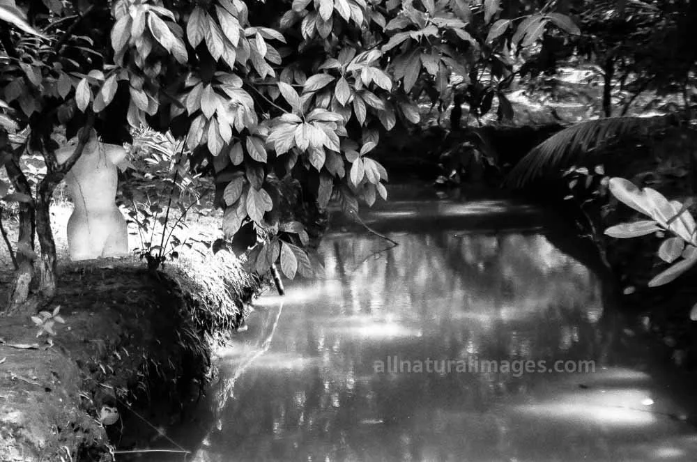 MEKONG DELTA, VIETNAM 2007
“Spirits of Mekong”
