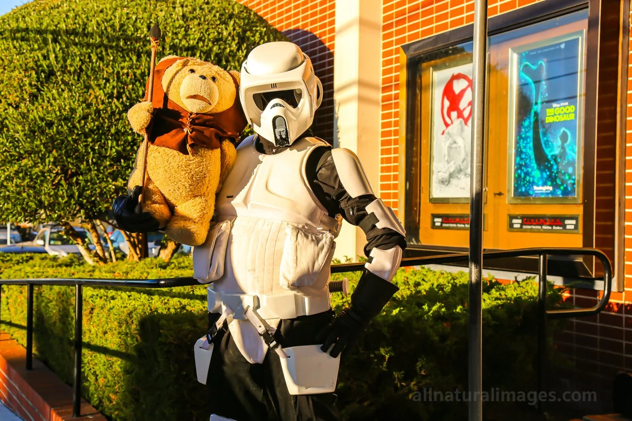 MVFF-2015-stormtrooper-ted-02-© 2025-greg-garthe-allnaturalimages.com.jpg