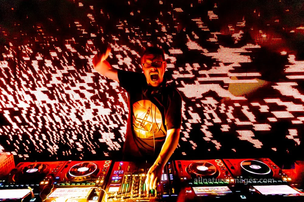 SIMON SHACKLETON 2025