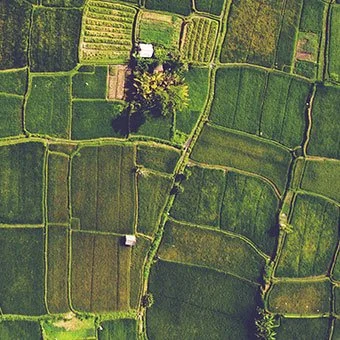 services_page_agri.jpg