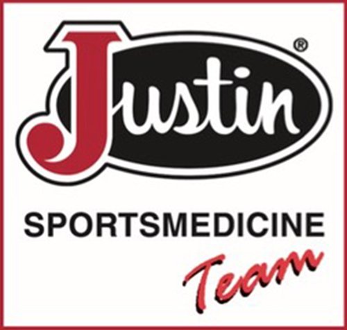 2021 JST Logo (1).jpg