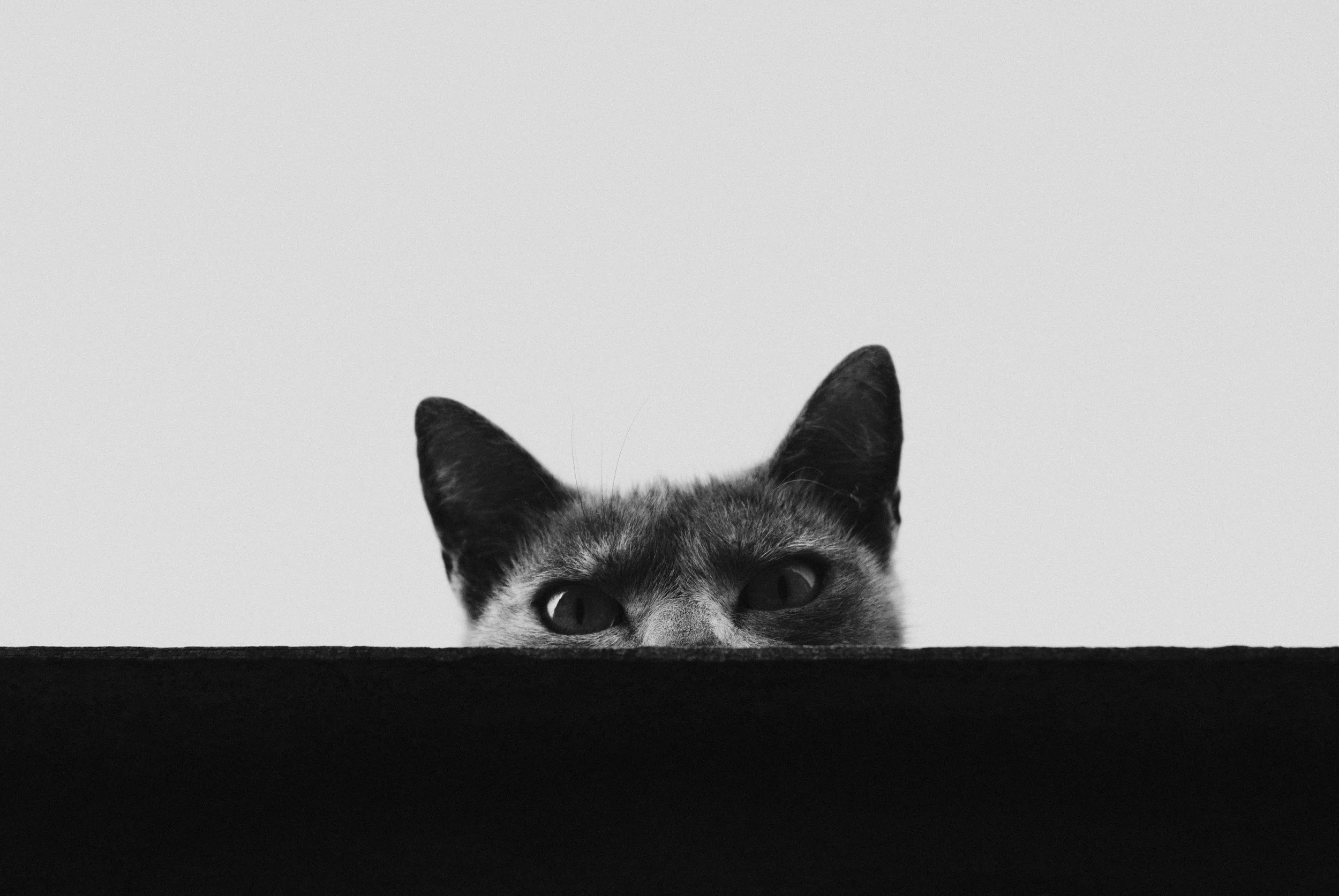 The Lonely Gaze: Why We Objectify to Protect Ourselves from Pain