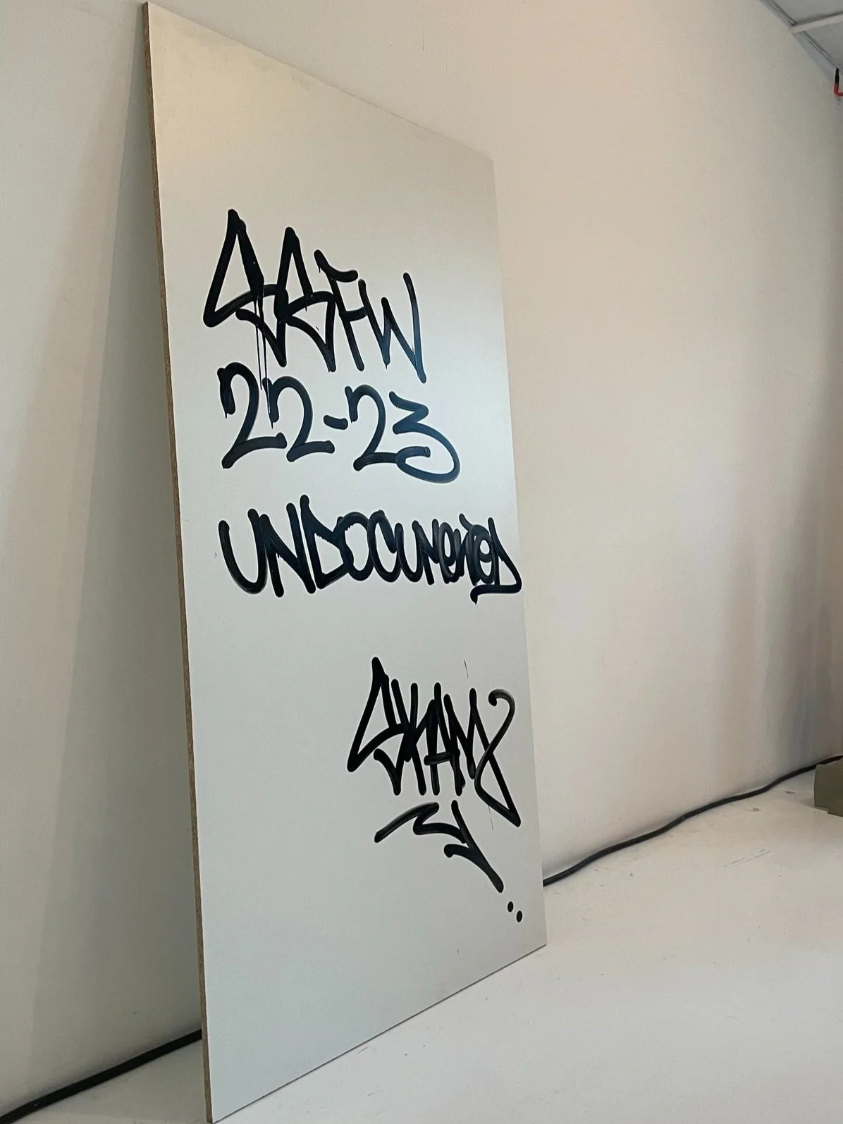 White board with graffiti-style black writing that says "BASH" and "22-23 UNDOCUMENTED" and an arrow underneath.