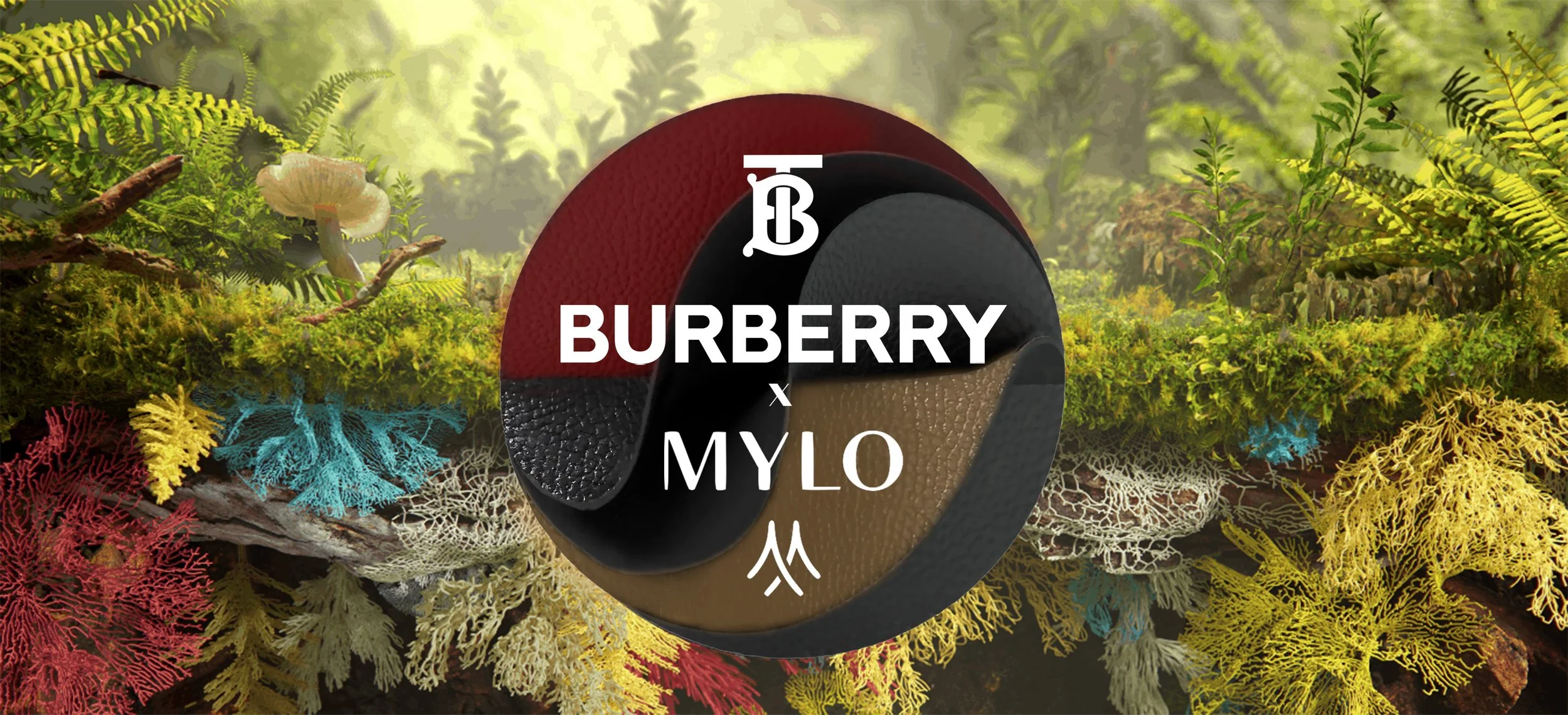 A circular logo featuring Burberry and Mylo branding against a background of colorful moss and lichen on forest floor.