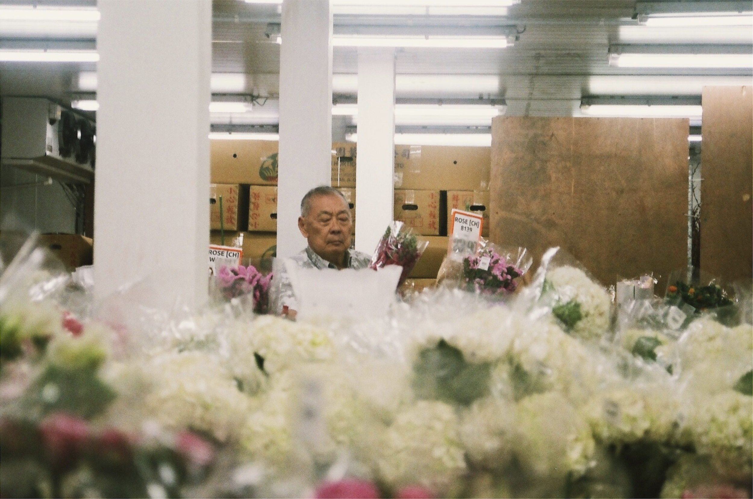 supplementary image at Far East Flora