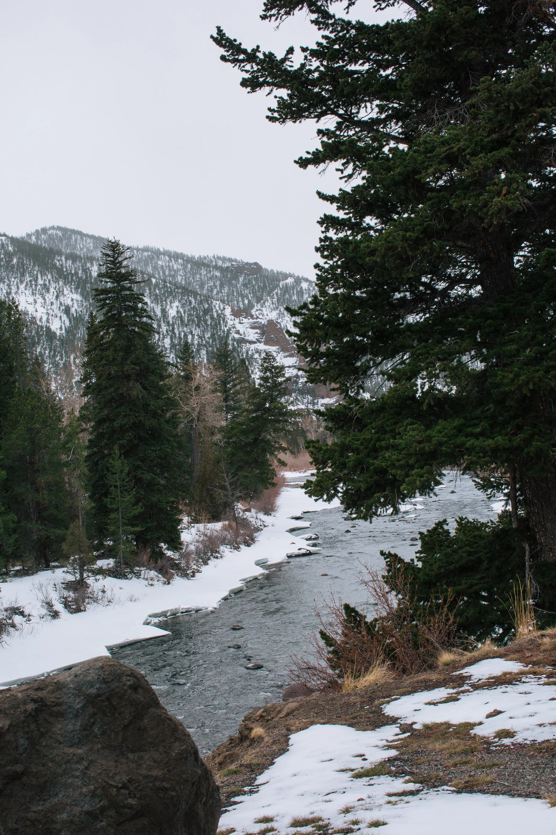 Winter Flies for the Shoshone River