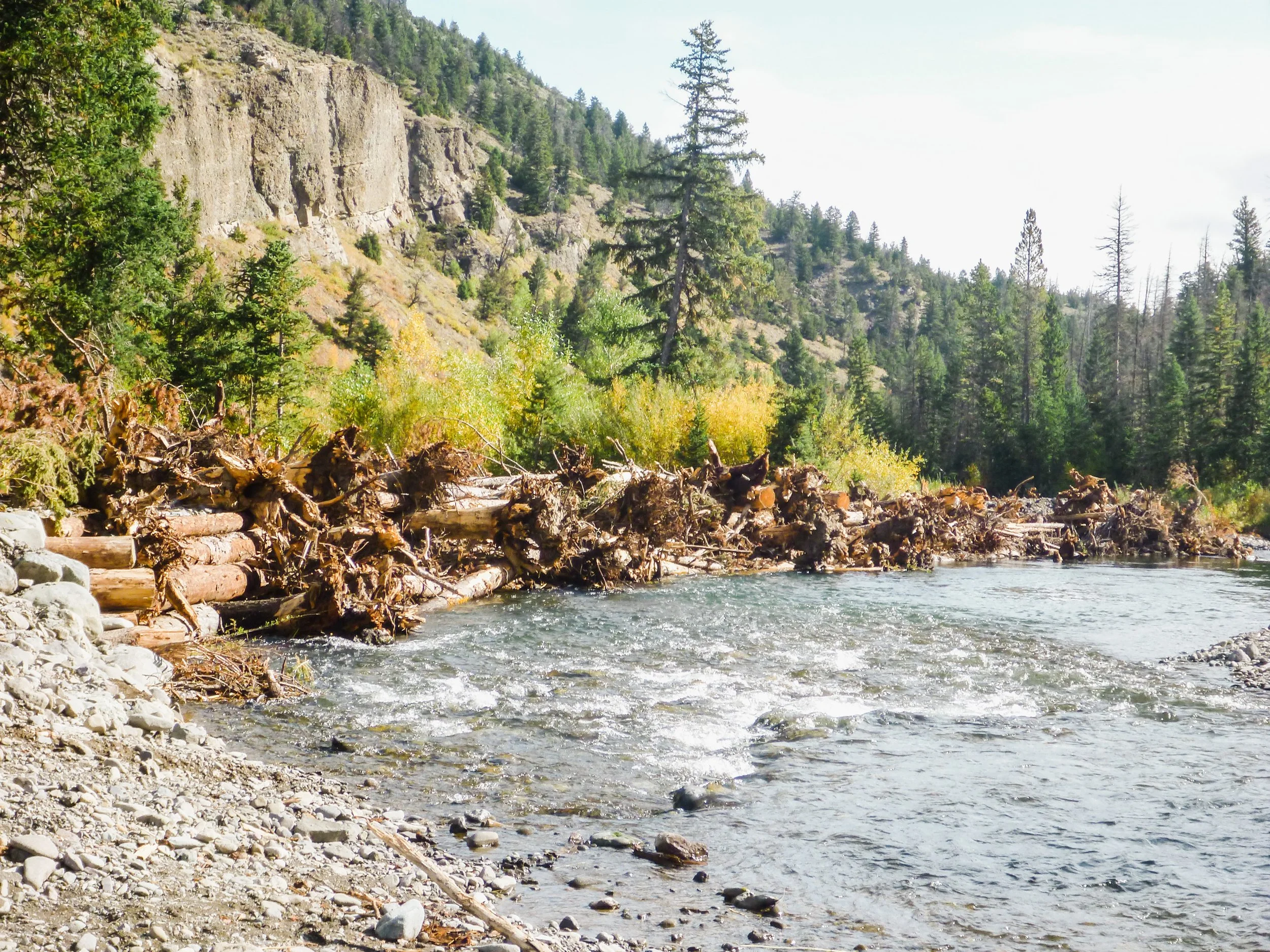 Wood River bank stab.JPG