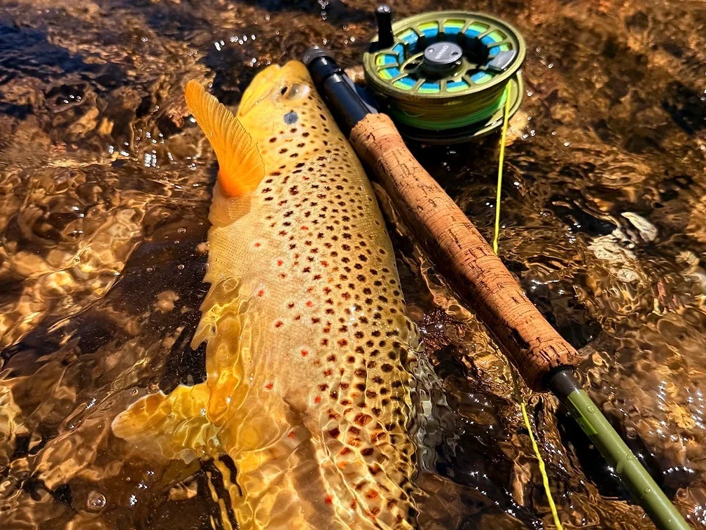 Shoshone River Fly Fishing Tournament