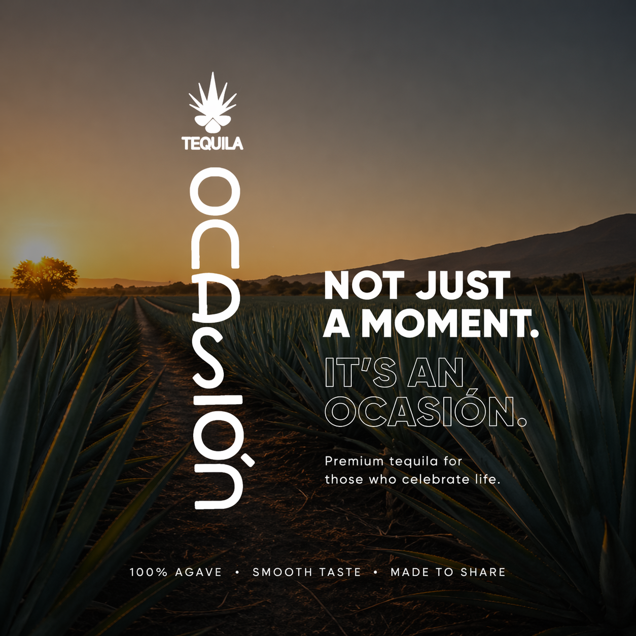 Sunset over an agave field with text overlay promoting a tequila brand, stating 'NOT JUST A MOMENT. IT'S AN OCASIÓN.' and additional info about premium tequila for celebrating life.