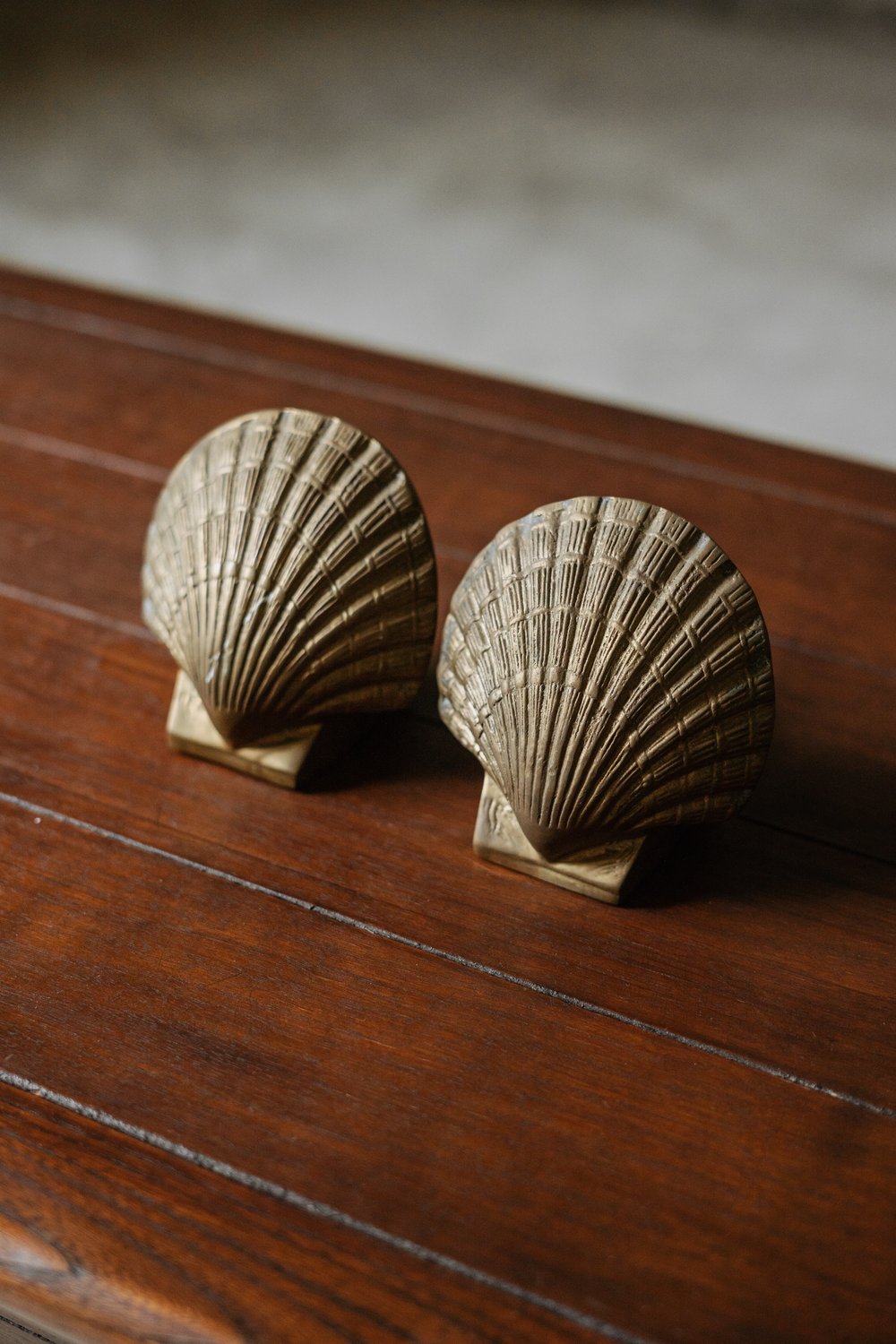 Brass Seashell Bookends — HAPPENSTANCE