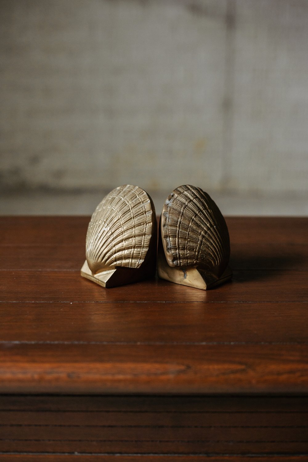 Brass Seashell Bookends — HAPPENSTANCE