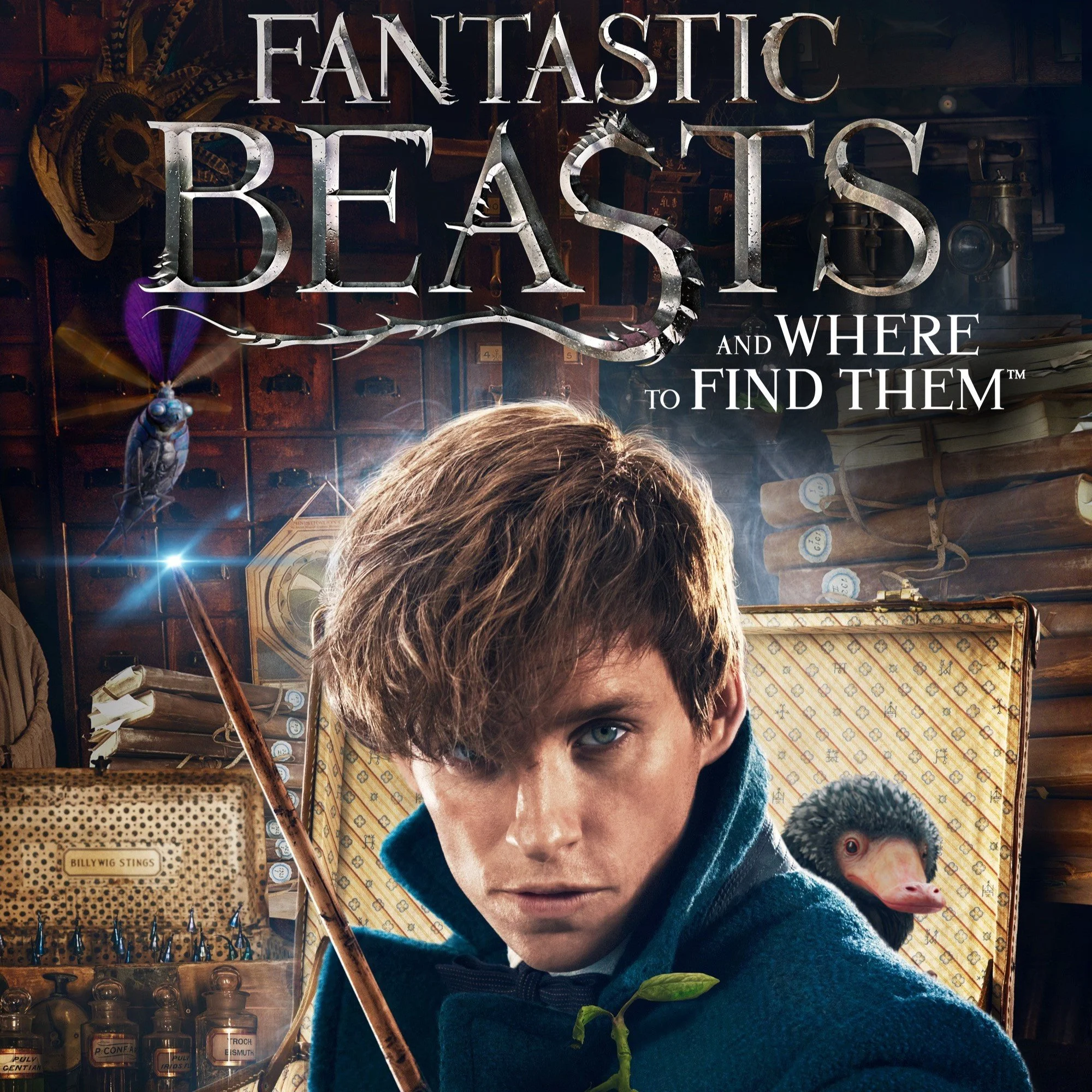 Wizard Fest Movie: Fantastic Beasts and Where to Find Them