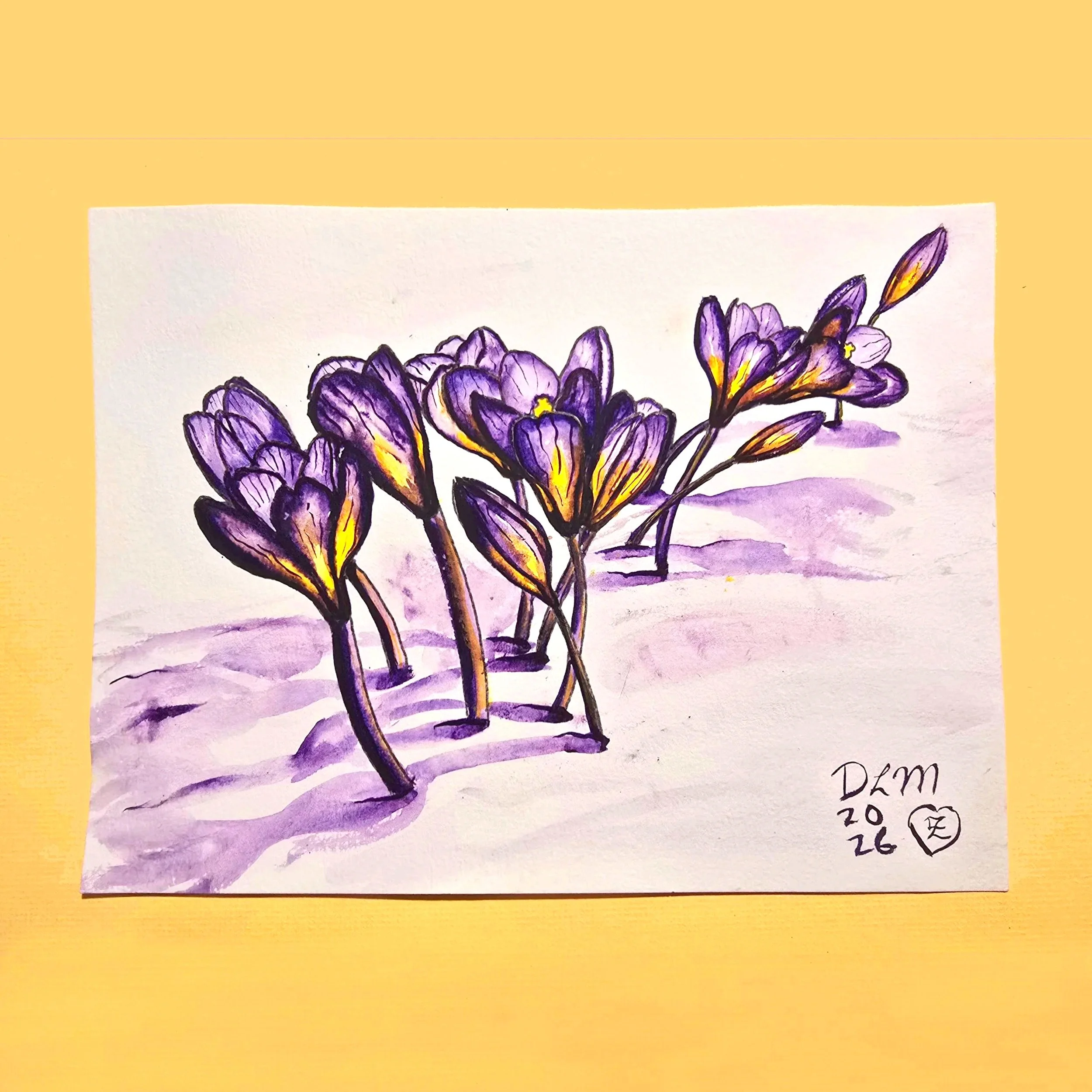 crocuses.jpg