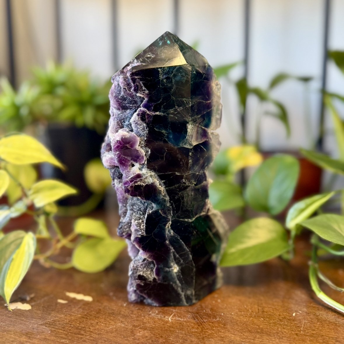 Fluorite Semi-Polished Tower P.jpg