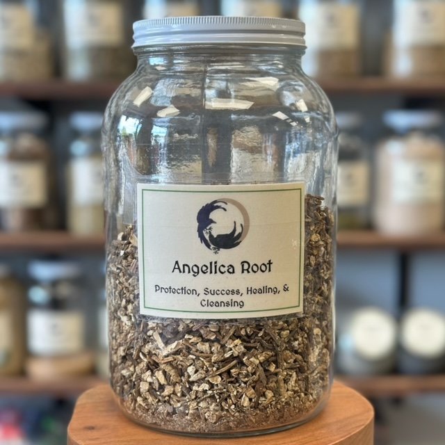 Angelica Root Jar.jpeg