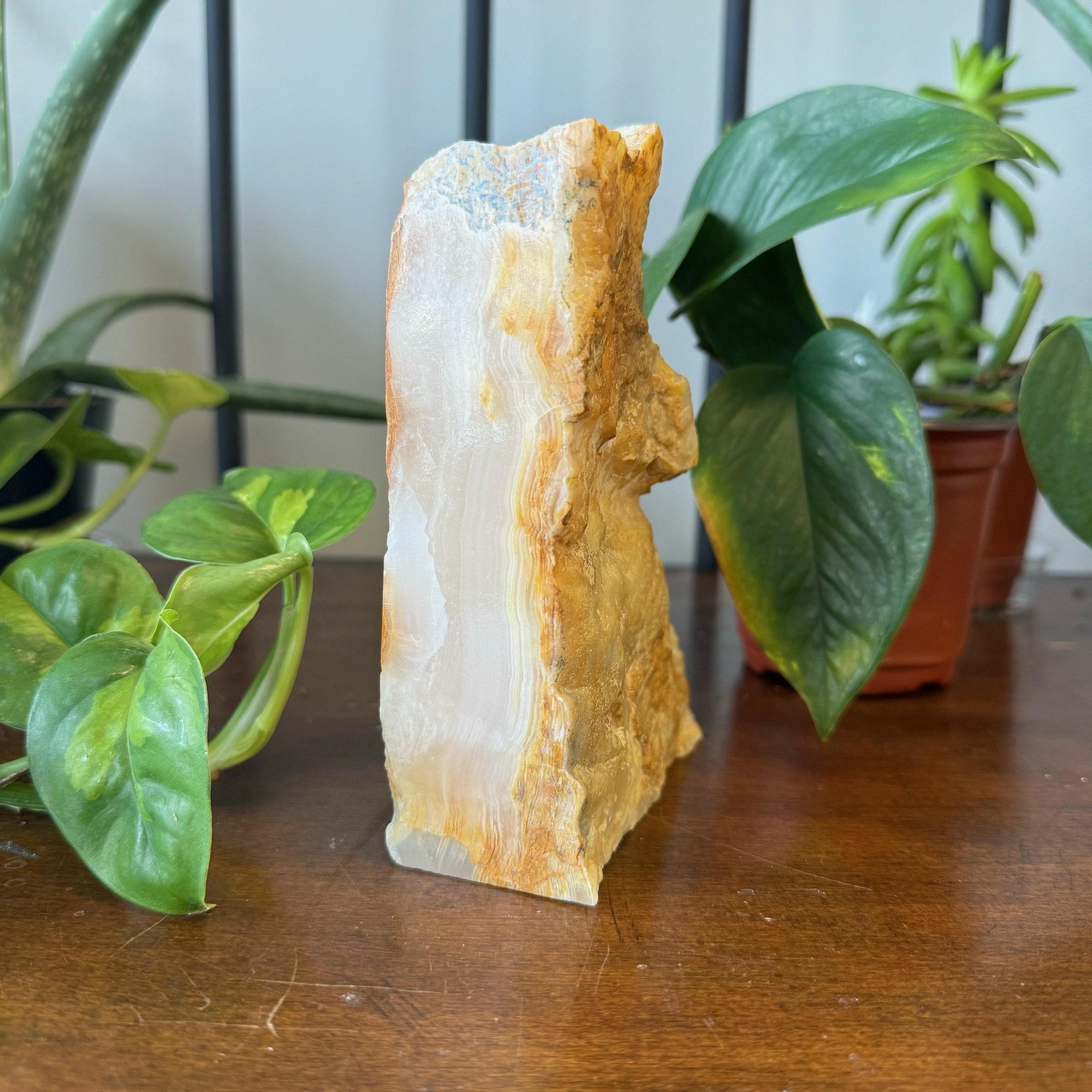 AGT Bookend1.jpeg