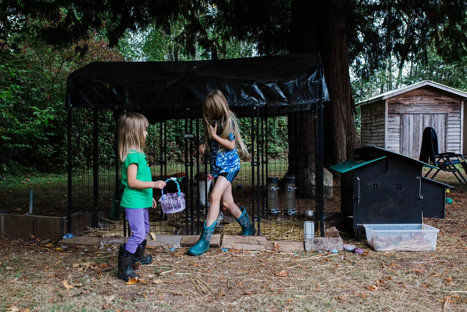 two sisters caring for chickens in their backyard