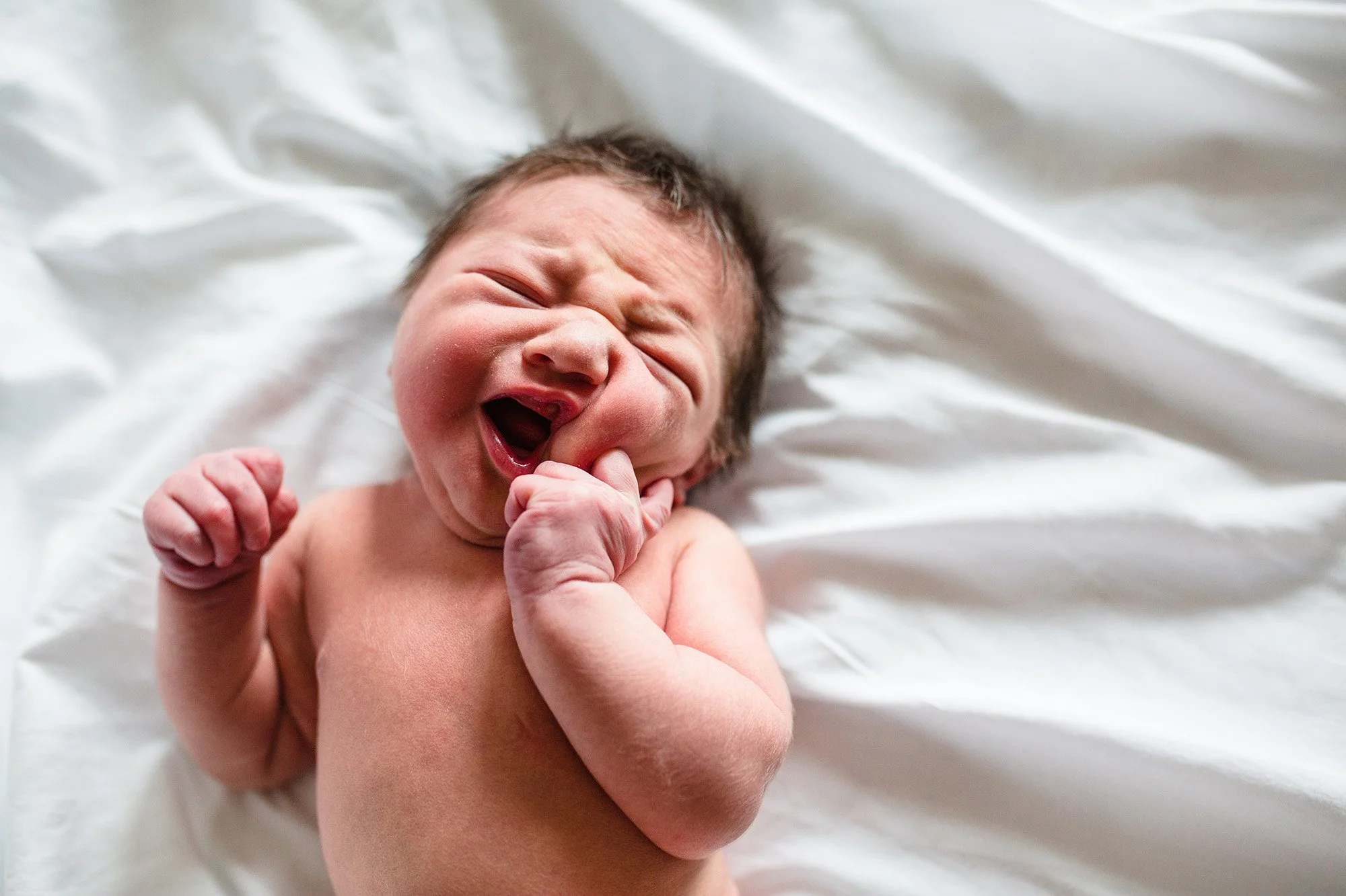 newborn photography at home in Seattle
