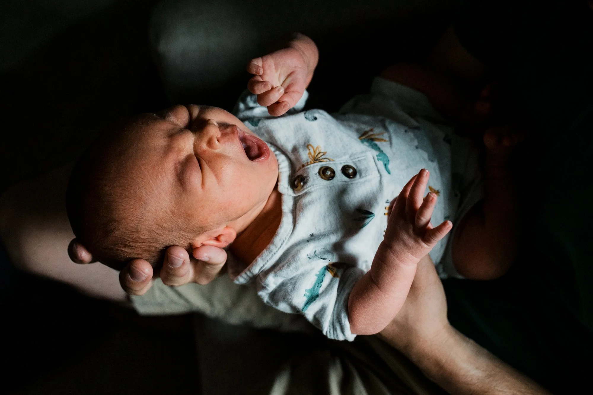 Bothell_Newborn_Photoshoot_3.jpg