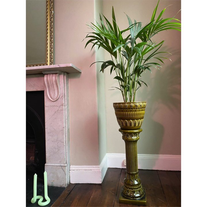 Please Help us decide?!
Love our new West German Jardiniere but can&rsquo;t decide what houseplant to put in - please swipe &amp; comment below which one? 
1 -  Video 
2 -  Kentia Palm
3 -  Mother&rsquo;s Tongue 
4 -  Cheese plant 
5 - Devil&rsquo;s 